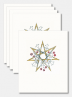 Postkartenset «Weihnachtsstern»